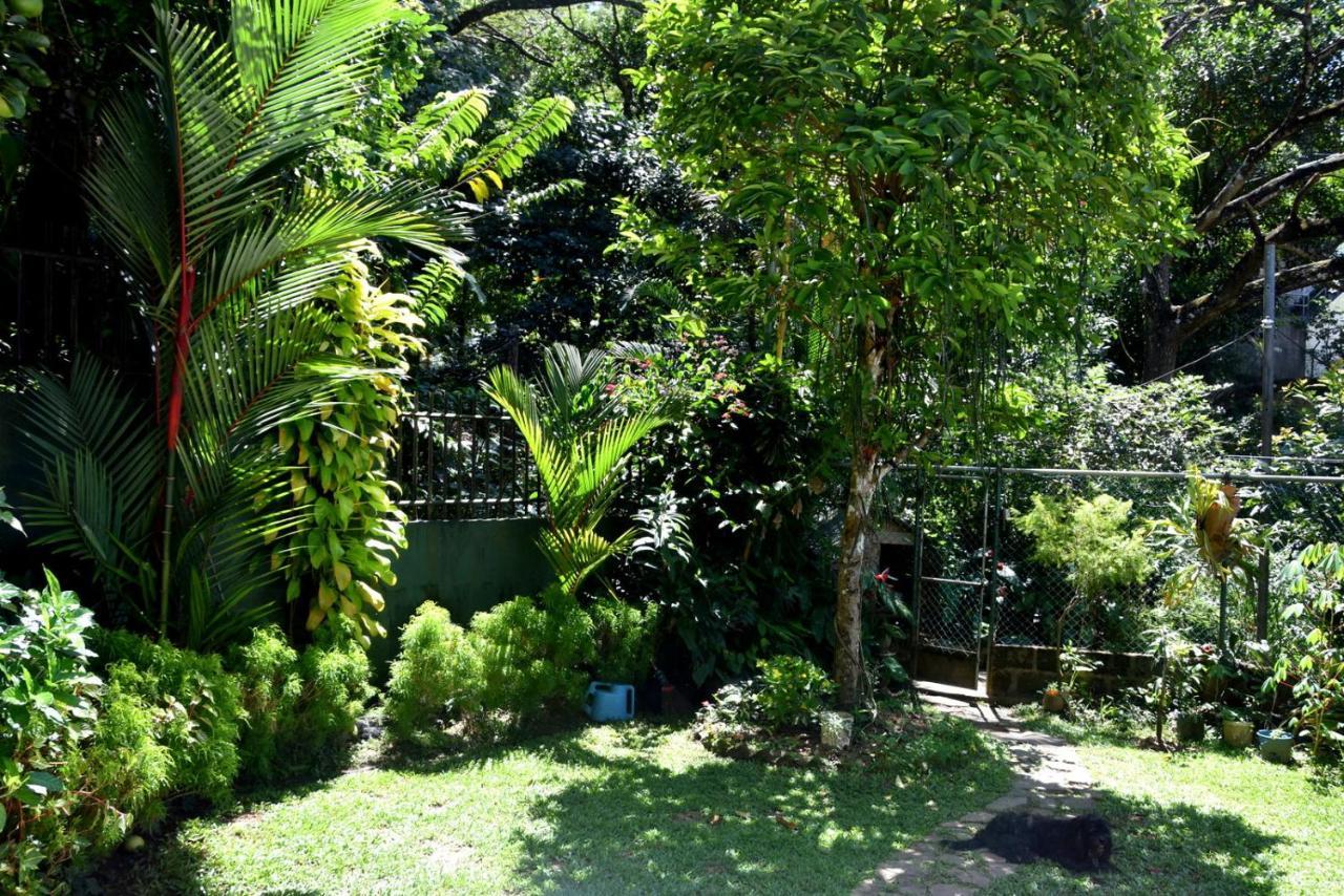 Cozy Homestay Kandy Buitenkant foto